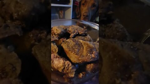Breakfast... chessie approved 😋 #beef #breakfast #carnivore #properhumandiet