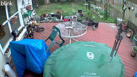 1_SOUTH_FLOODLIGHT_VIDEO_CAM_2023-04-07T08_57_47-0400.mp4