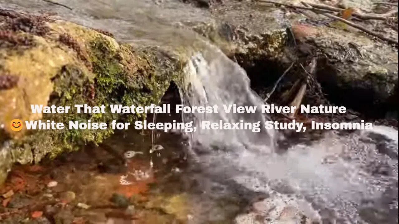 Water That Waterfall Forest View River Nature 😊White Noise for Sleeping, Relaxing Study, Insomnia