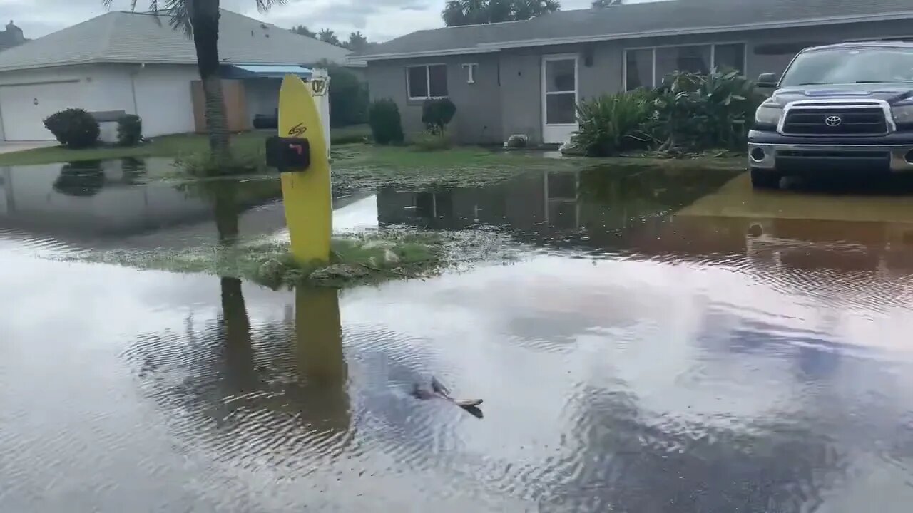 Hurricane Ian’s Impact on our Neighborhood.