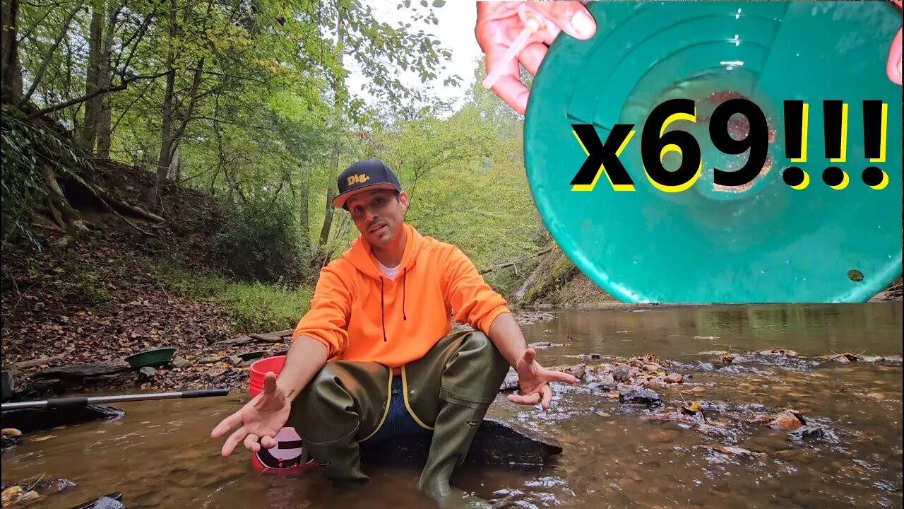 69 Stump Pans in Georgia. How much GOLD? #goldpanning