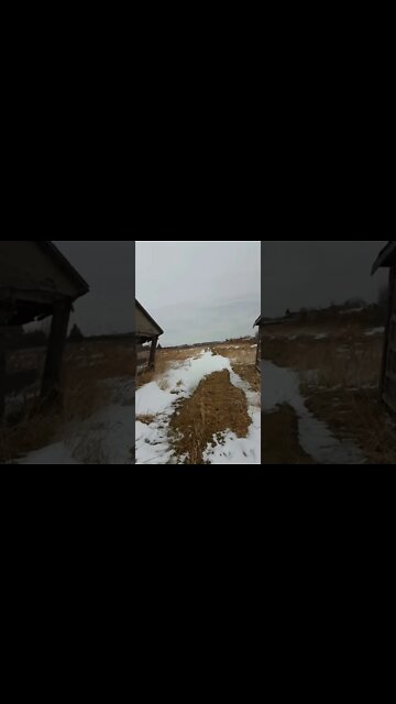 Abandoned - #ohhighbud #ababdonedplaces #piday #strangedanimal