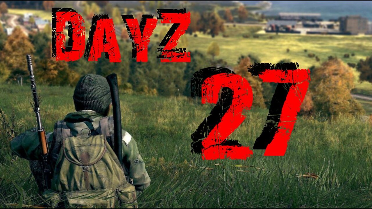 DayZ #27