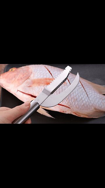 Stainless Steel Fish Scale Sawtooth Knife (3 In 1)