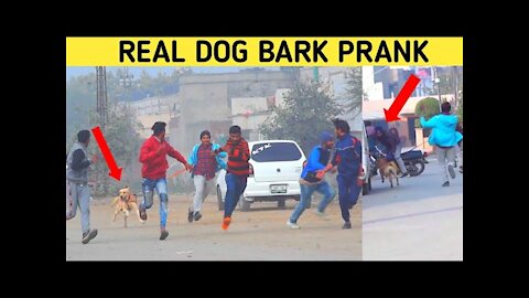 @Smarties Prank TV @Real Dog Bark Prank