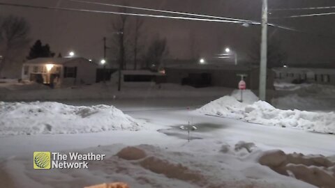 A fresh layer of wet snow falls overnight in New Brunswick