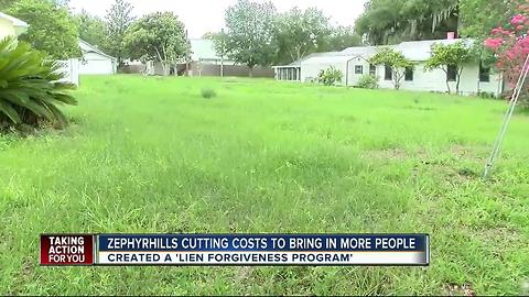 Zephyrhills is trying to turn vacant lots into a thriving community