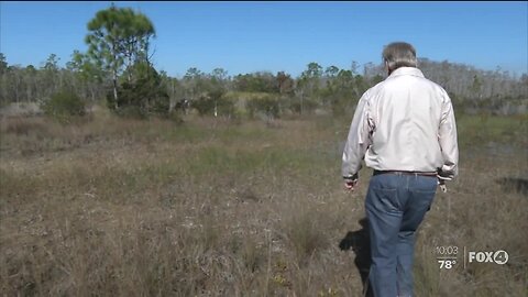 Development threatening wetland