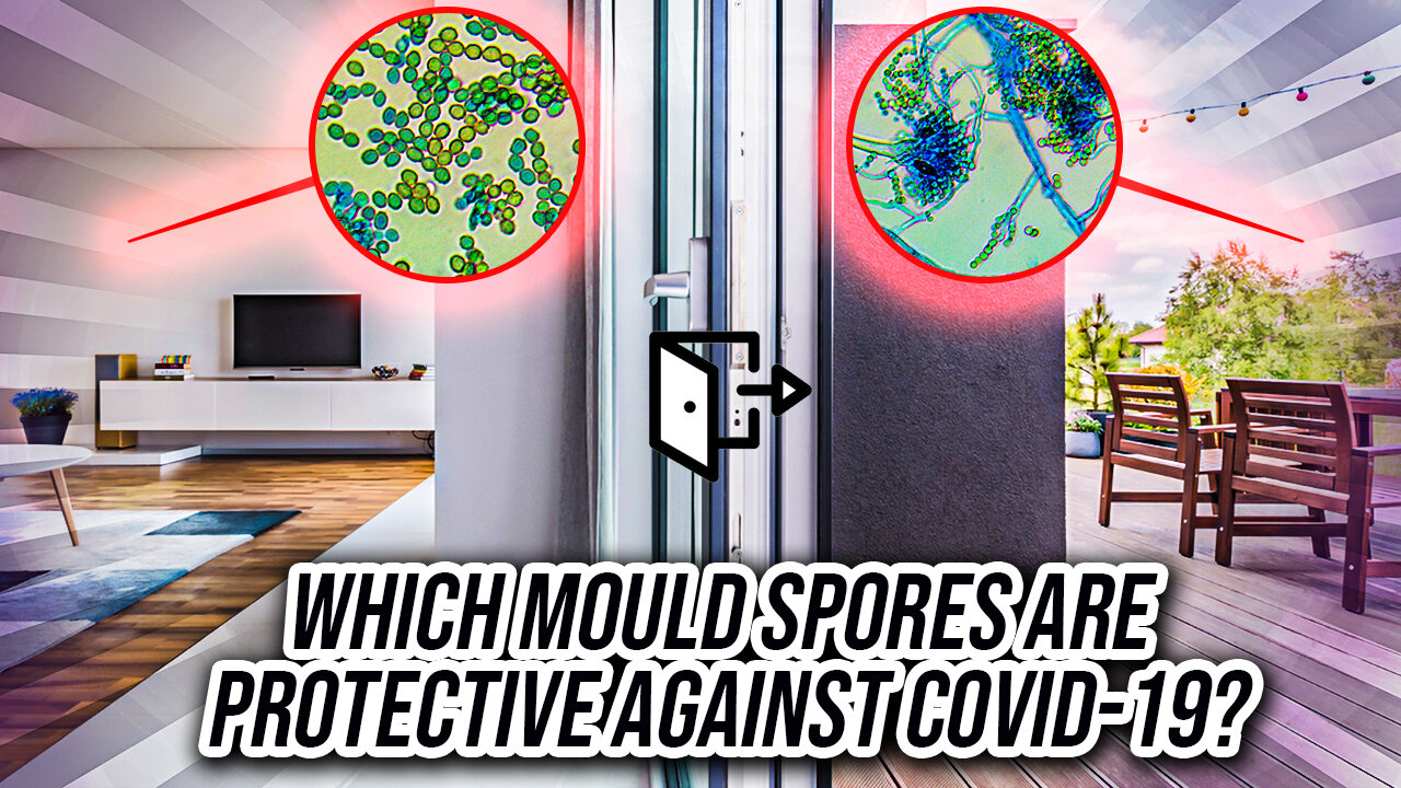 Which Mould Spores are Protective Against COVID-19?