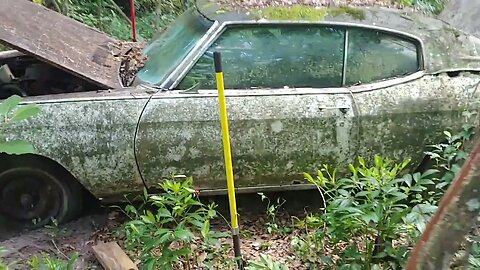 Barn Find For Sale Chevelle 1970 Rust Bucket Florida Barn Find