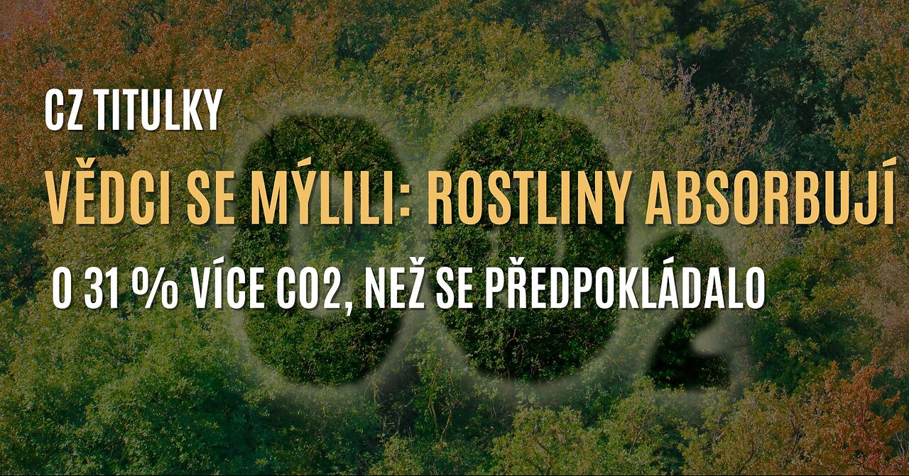 Vědci se mýlili: Rostliny absorbují o 31 % více CO2, než se dříve myslelo (CZ TITULKY)