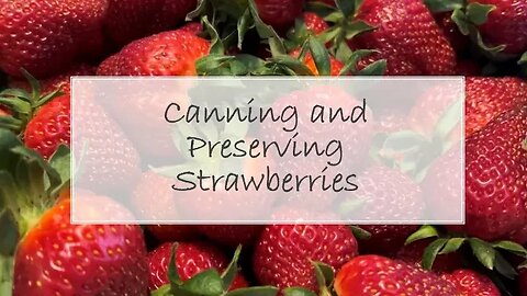 Preserving Strawberries + Strawberry Top Vinegar