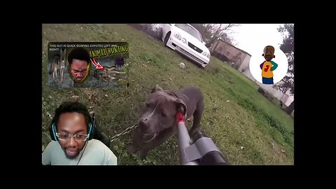 Reacting To Animal Control Catch Aggressive Dogs (Trigger Warning To DOG LOVERS) (Re-Upload)