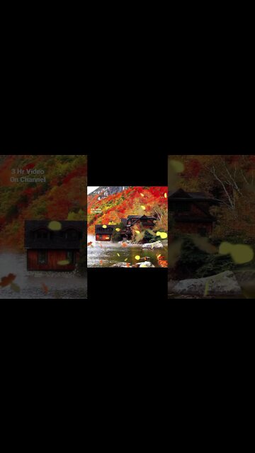 #relaxing #relaxingsoundsforstressrelief #fall #autumn #lakeview #lake#autumn #autumnleaves