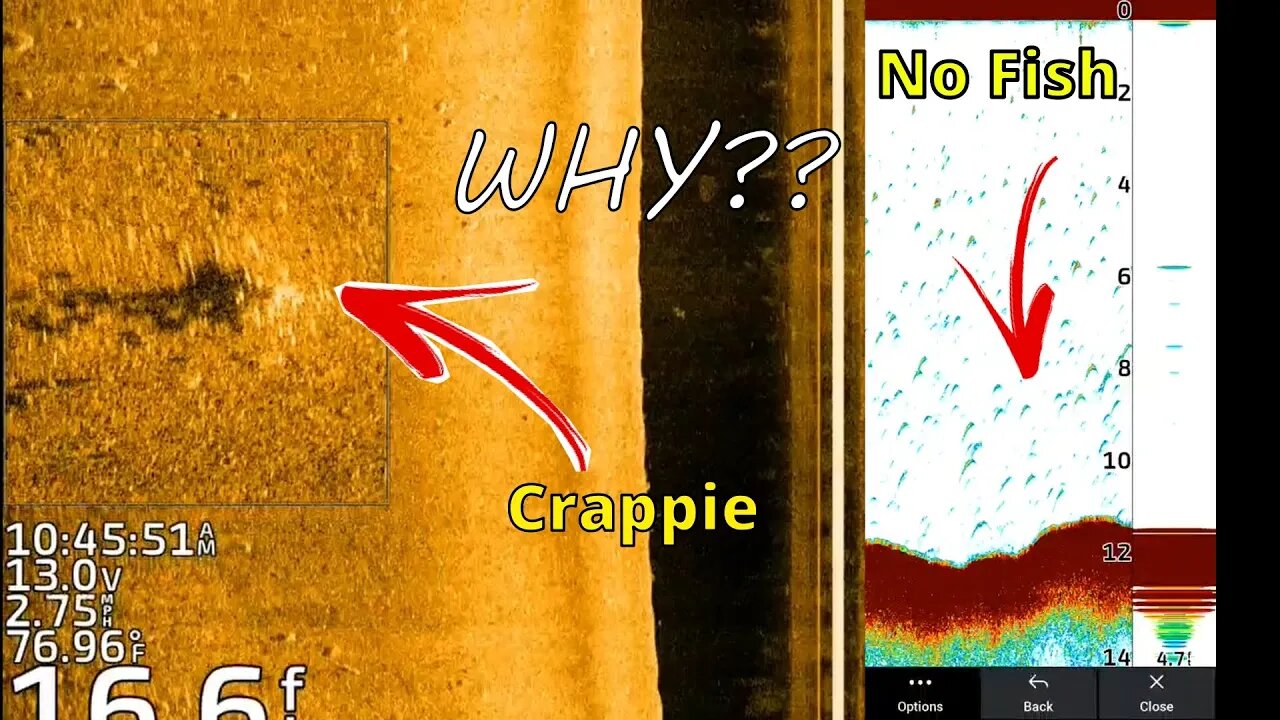 2d Sonar vs. Side Imaging - Why am I not seeing fish?