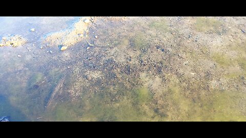 Relaxing 4K Cinematic Vlog Video #relaxing #4k #nature