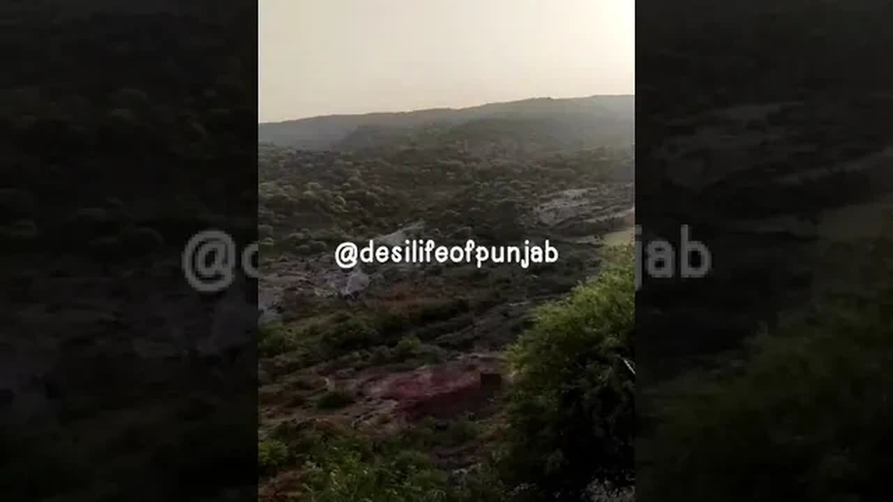 #desilifeofpunjab #nature #hillstation #viral #youtubeshort