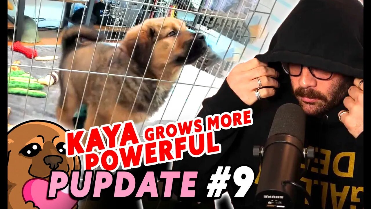 KAYA is TESTING HASANABI Big Time | PUPDATE #9