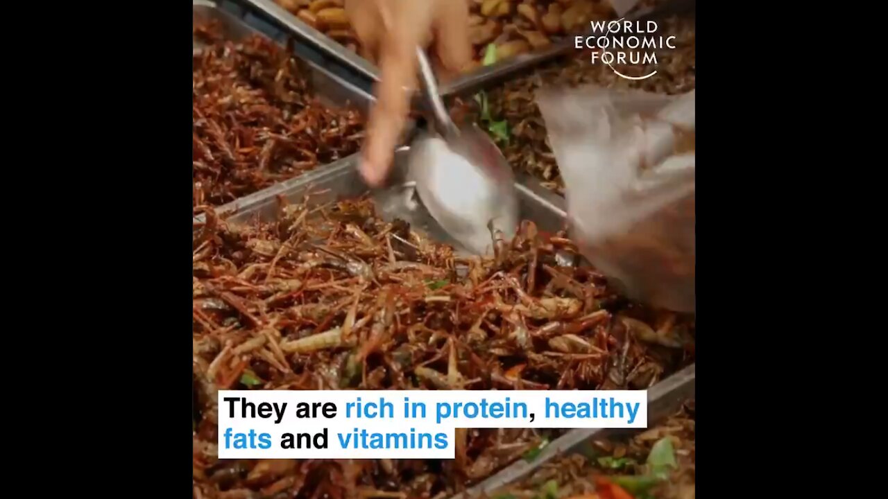 Great Reset: World Economic Forum Wants Citizens To Eat Bugs