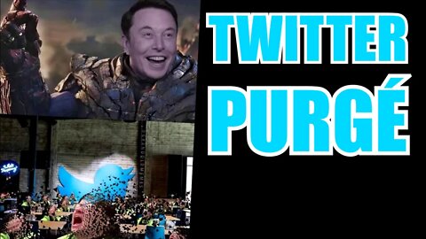 LIBÉRATION DE TWITTER ! ELON MUSK REMET LA LIBERTÉ D'EXPRESSION AU PEUPLE