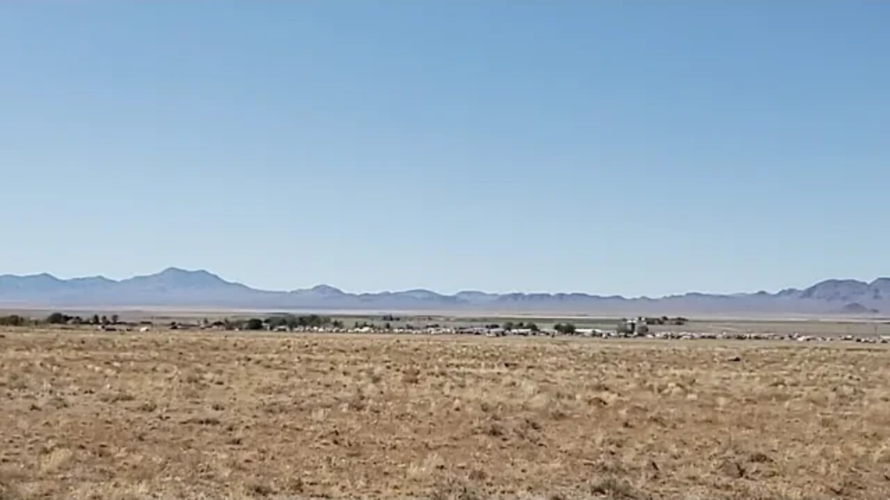 Live Rachel Nevada, Alienstock, Just Got Back From Gate