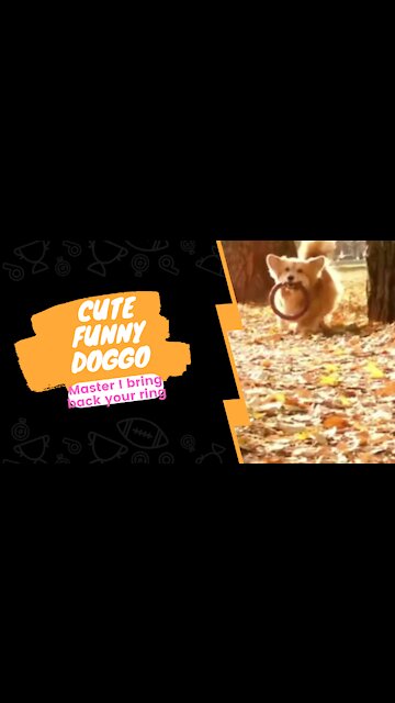 Master!! I bring back your ring! Give me eat!