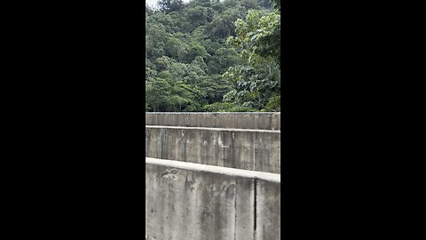 Rio PACQUAL river rafting Costa Rica