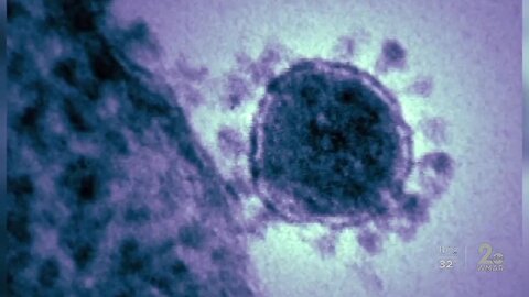 Two Marylanders meet CDC's criteria for coronavirus testing