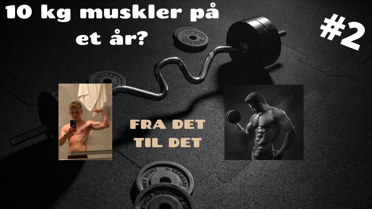 BICEPS ØVELSER MED HÅNDVÆGTE OG STANG (HJEMME TRÆNING 10 KG MUSKEL PÅ ET ÅR) #2