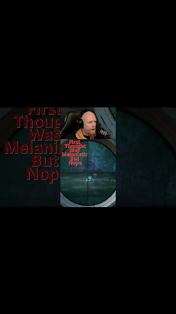 First Thought Was Melanistic But Nope #callofthewild #cotw #game #scandinavianwolf #shorts