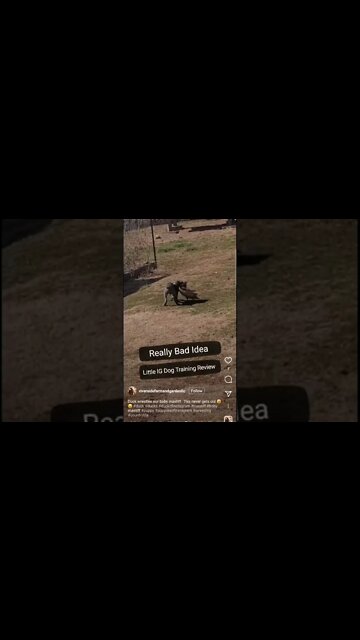 REALLY BAD IDEA... Please Don't Allow This. Correct and Address it Now...