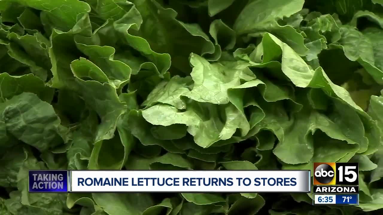 Romaine lettuce being put back on Valley shelves after E. coli scare