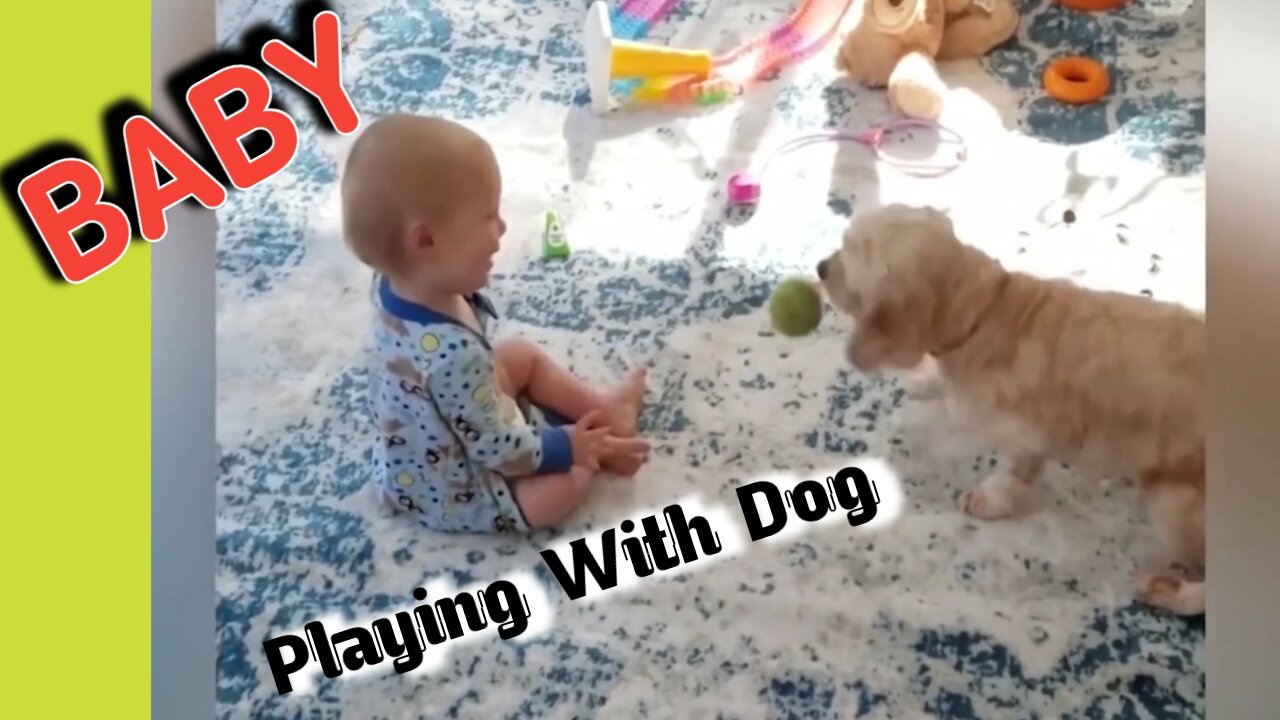 Baby playing with Dog || Puppys Playing With Baby|| Dog and Baby Playing Togather