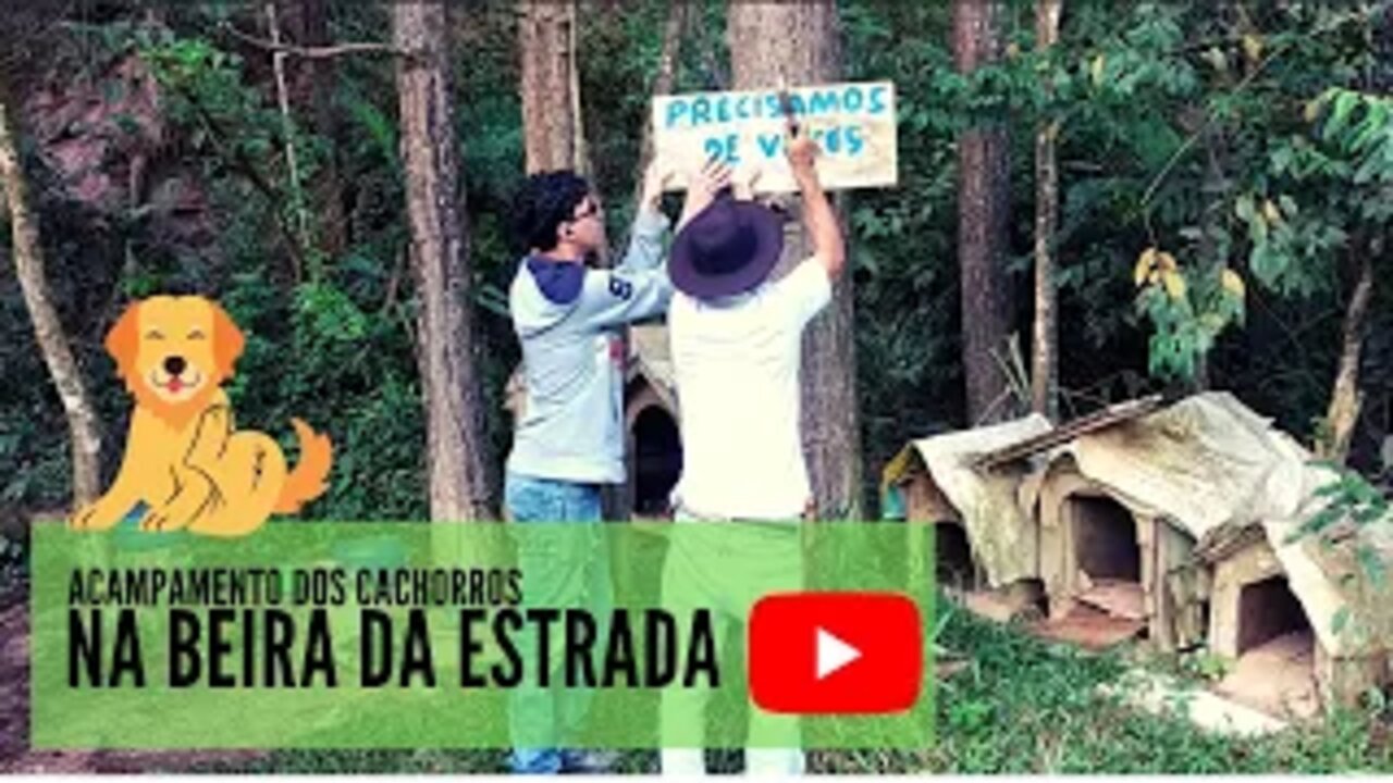 AJUDANDO CACHORROS ABANDONADOS NA ESTRADA, NO CAMINHO DA CHÁCARA | episódio 02