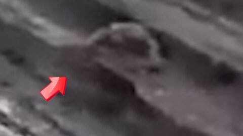 Saw a Reptilian-like creature in the cliff but it escaped [Space]