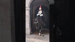 Horse Trying to eat tourist coat #horseguardsparade