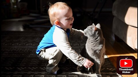 Funny Cats & Kids video; Try not to Laugh