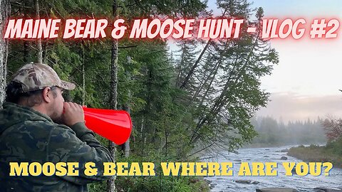 Maine Moose and Bear Hunt | VLOG 2