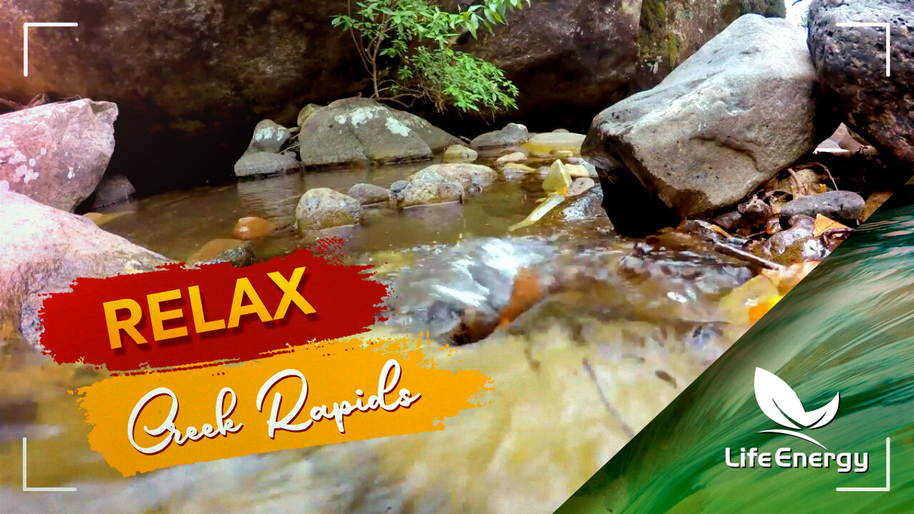 Relax | Creek rapids