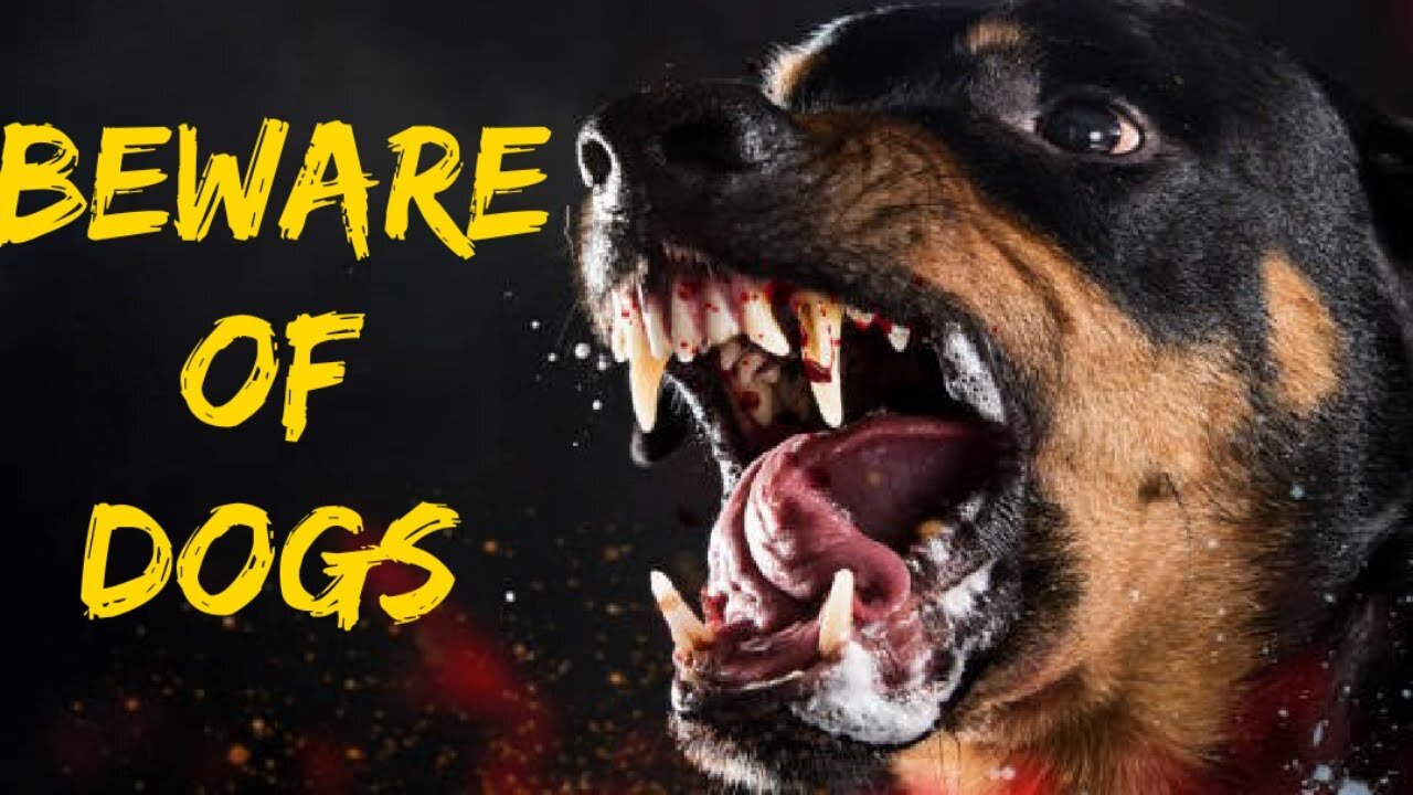 Aggressive Dogs to 10 Most Aggressive Dogs Breeds In the Worlds 2021 ♥ Aggressive Dog Trainer # 746