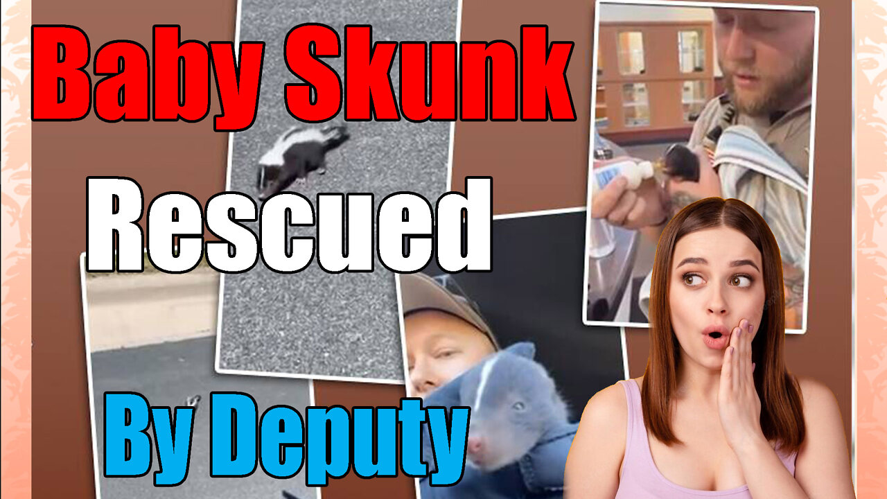 news of the bizarre Minnesota Deputy🚓 Rescues Baby Skunk🦨