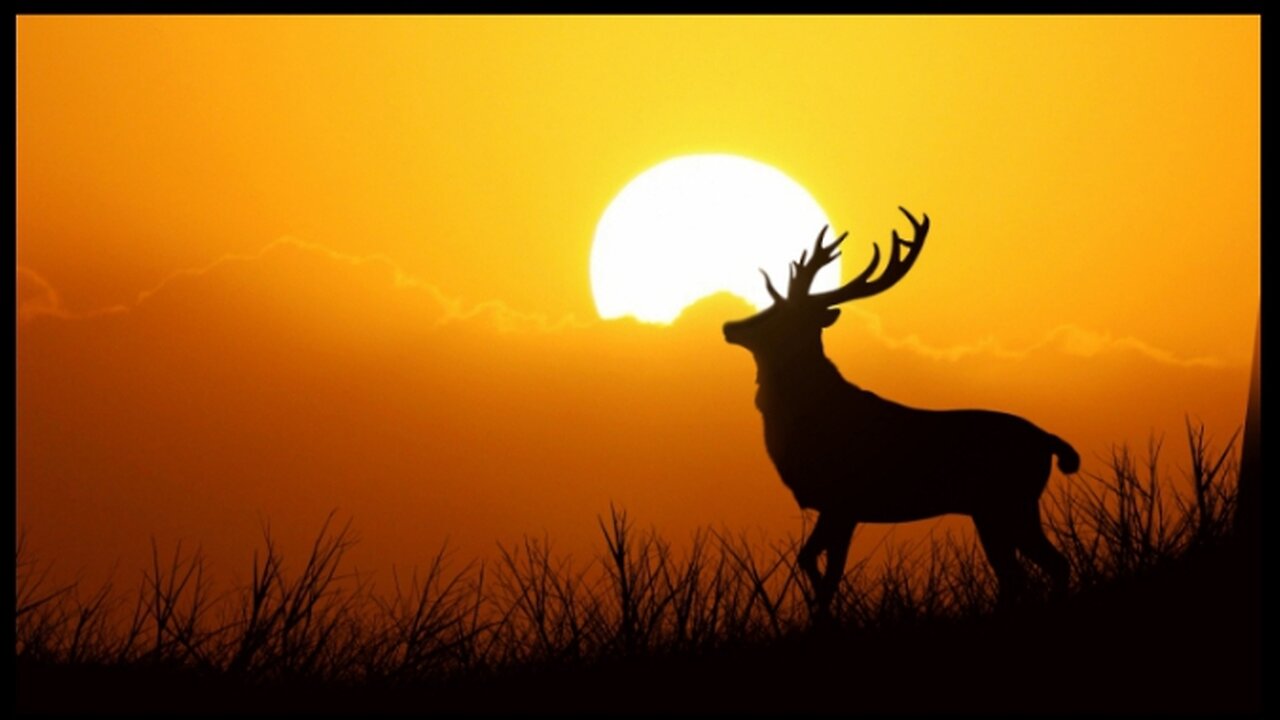 "🌍🎶 Earth's Serenade: 3 Minutes of Blissful Meditation and Relaxing Resonance 🧘♀️✨"
