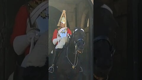 Horse lunges at tourist #horseguardsparade