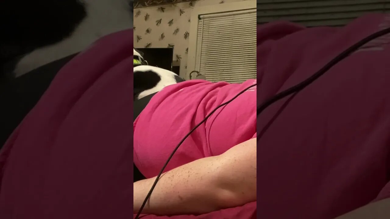 Sleepy 😴 ASMR (With A Special Guest)