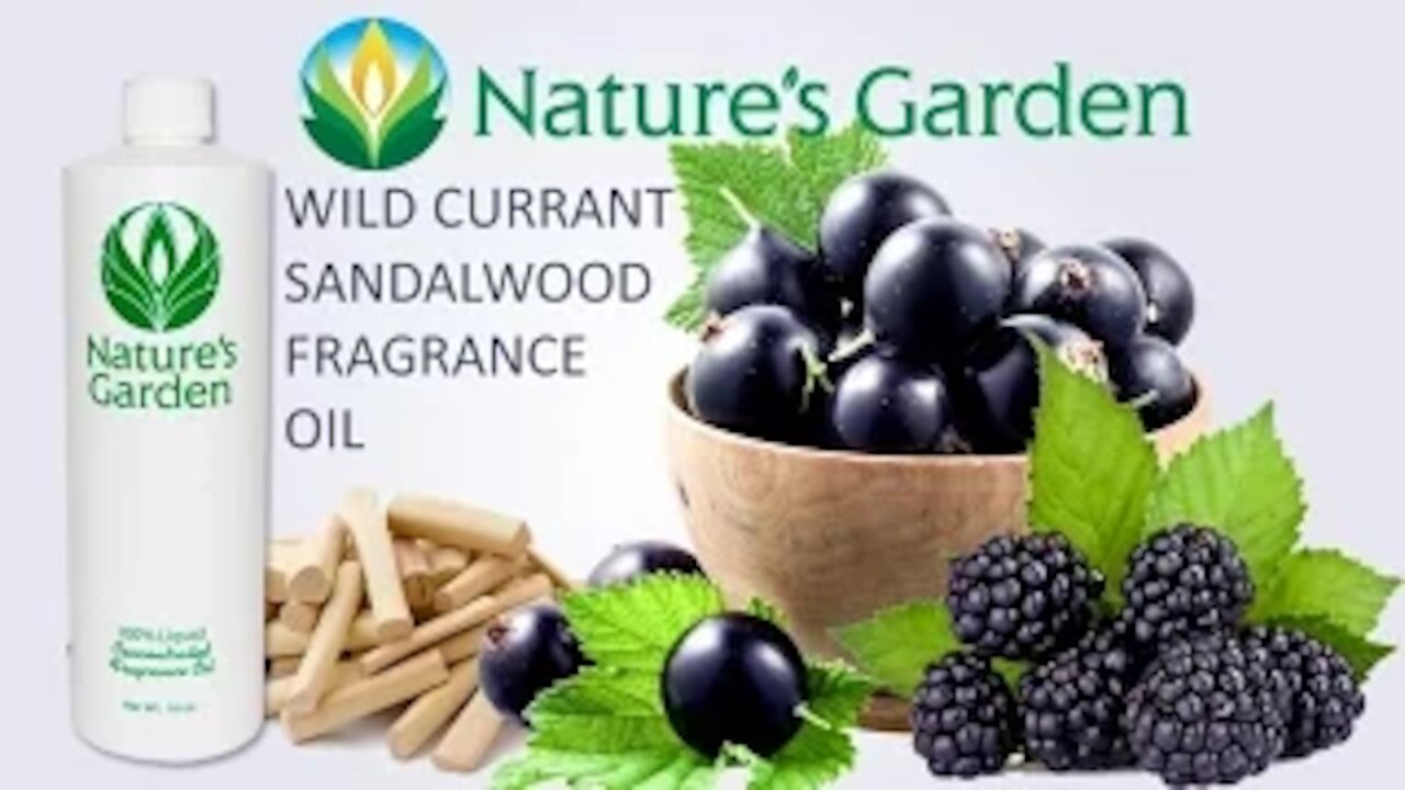 Wild Currant Sandalwood Fragrance Oil- Natures Garden