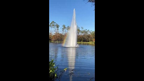 Fizz’s Fountain #Fountain #Rainbow #RainbowBridge #FYP #mywalksinparadise