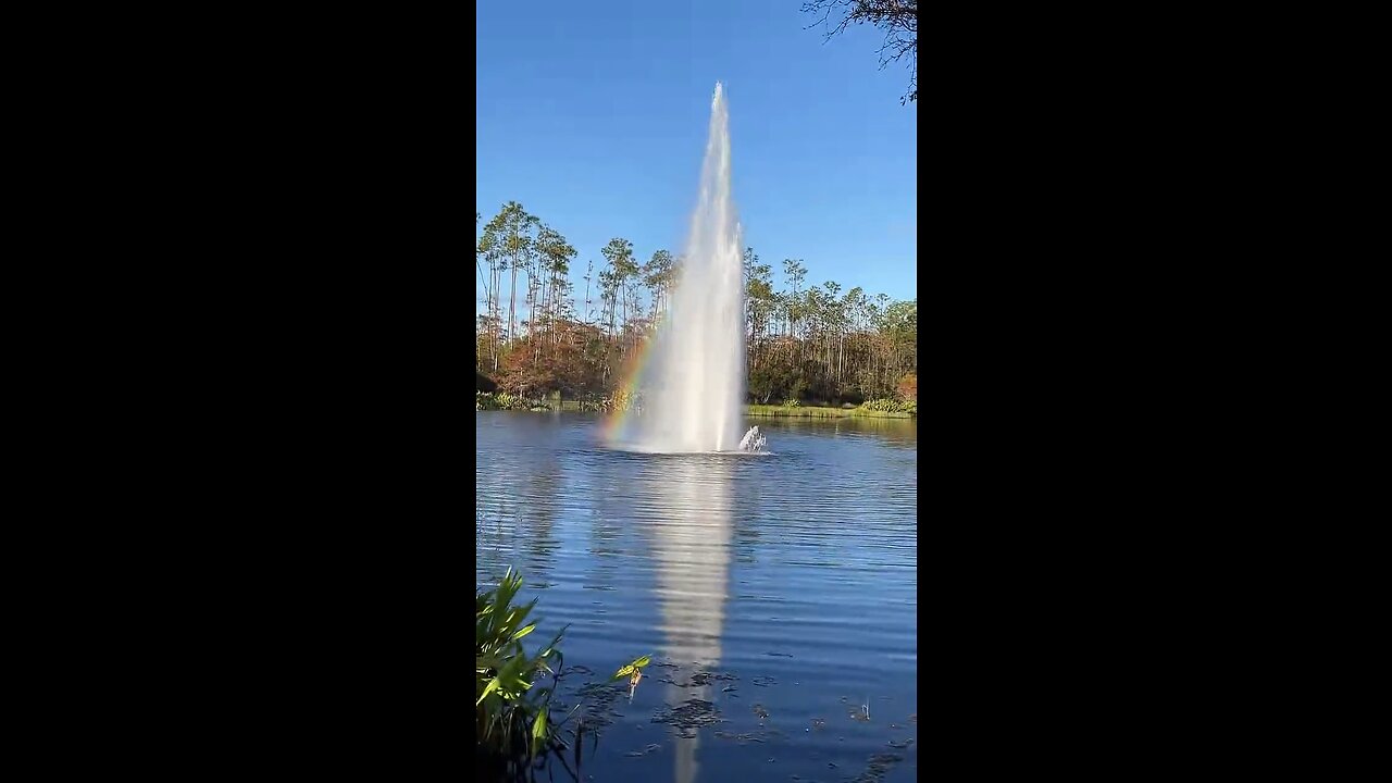 Fizz’s Fountain #Fountain #Rainbow #RainbowBridge #FYP #mywalksinparadise