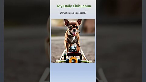 My daily Chihuahua. Chihuahua on a skateboard? #shorts