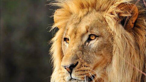 9/10/2023 The Token Needed to Follow The Seals