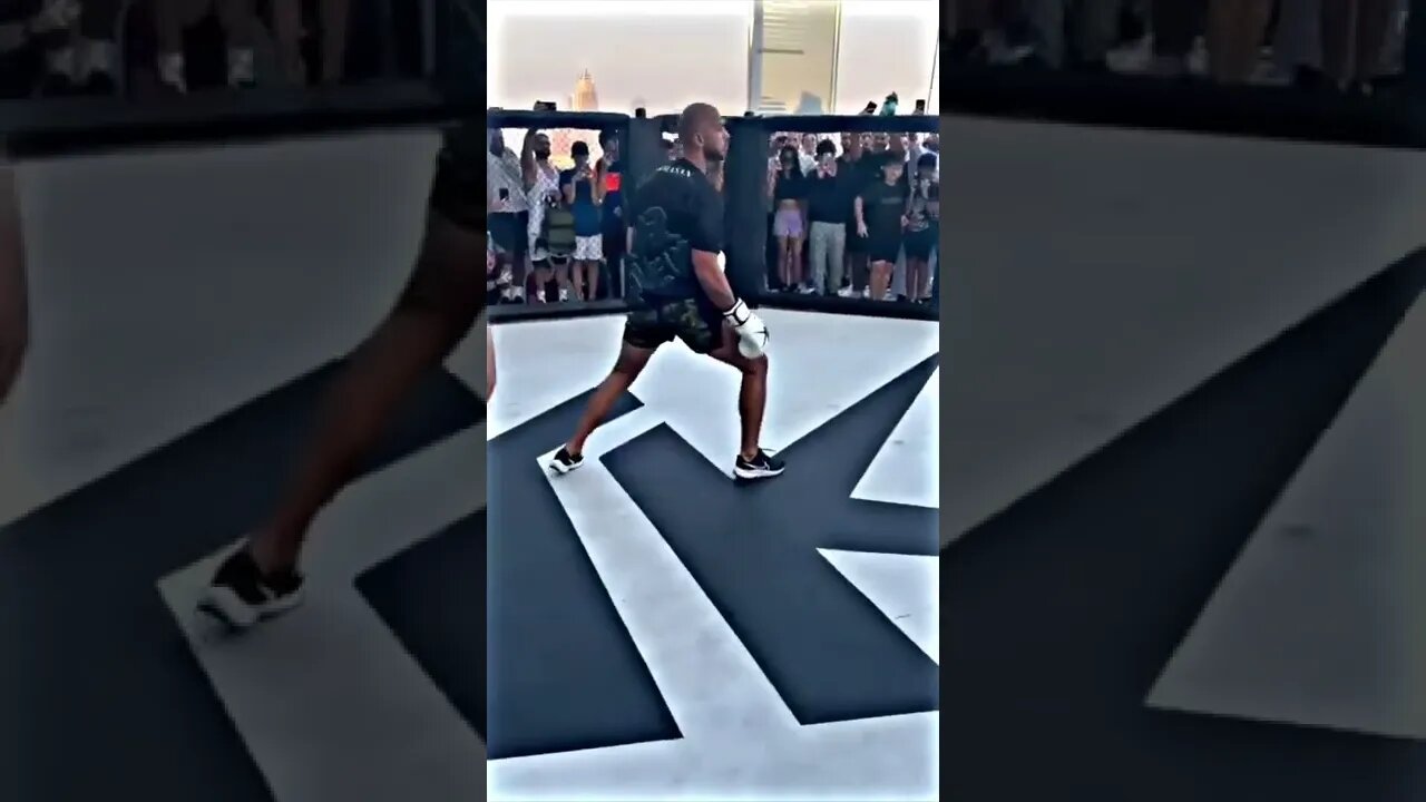 Andrew Tate Reacts to his New Song